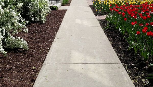 Cost of Sidewalk Slab Replacement in Sacramento
