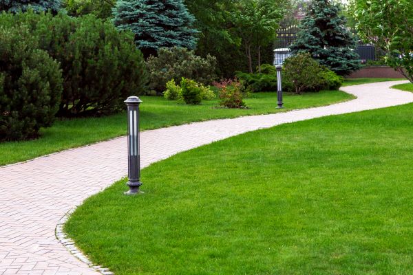 Cost of Backyard Sidewalk Installation in Sacramento