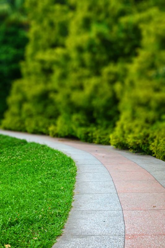 Paved Walkway Service